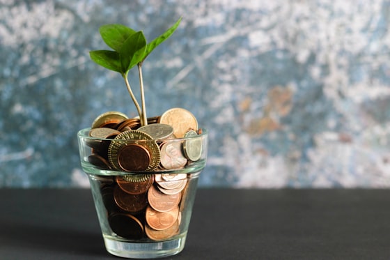 Earnings paid into your wallet
